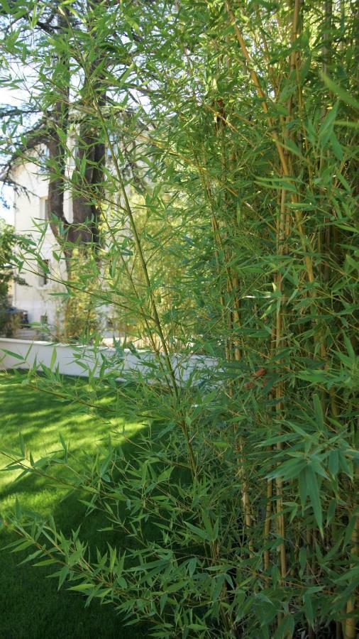 Hotel De Charme L'Oree Du Parc Роман-сюр-Изер Экстерьер фото
